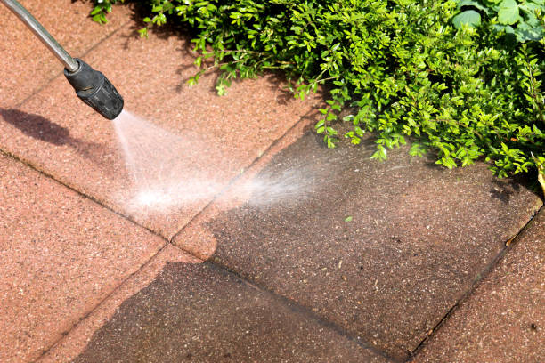 Best Concrete Pressure Washing  in Dovesville, SC